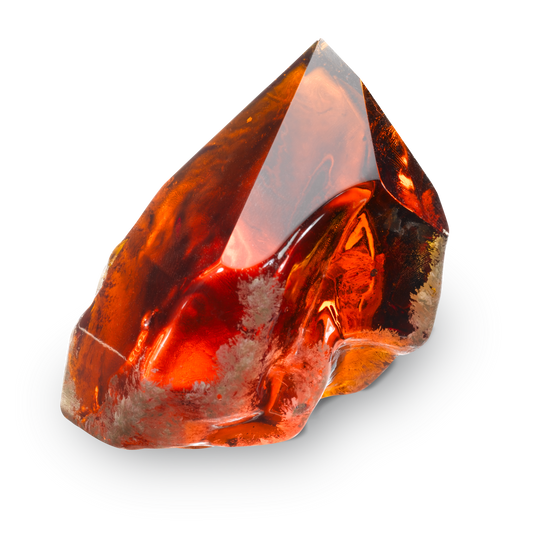 The Noble Collection: Sorcerer’s Stone Display